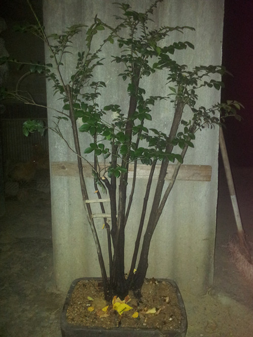 20140526_213120_.jpg