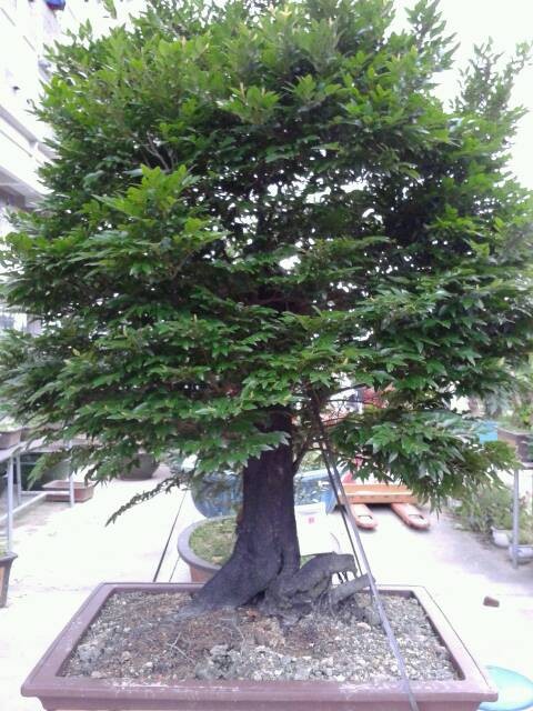 QQͼƬ20140527130838.jpg