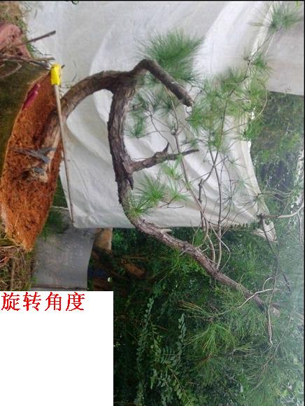  QQͼƬ20140527202145.jpg