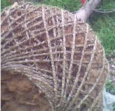 QQͼƬ20140527232937.jpg