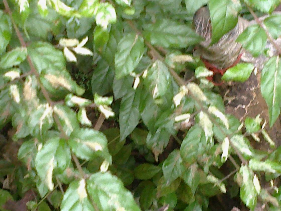 20140528179.jpg