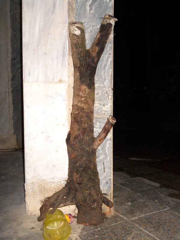 DSCN0002.JPG