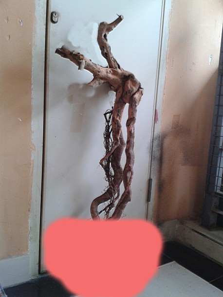 QQͼƬ20140529233419.jpg
