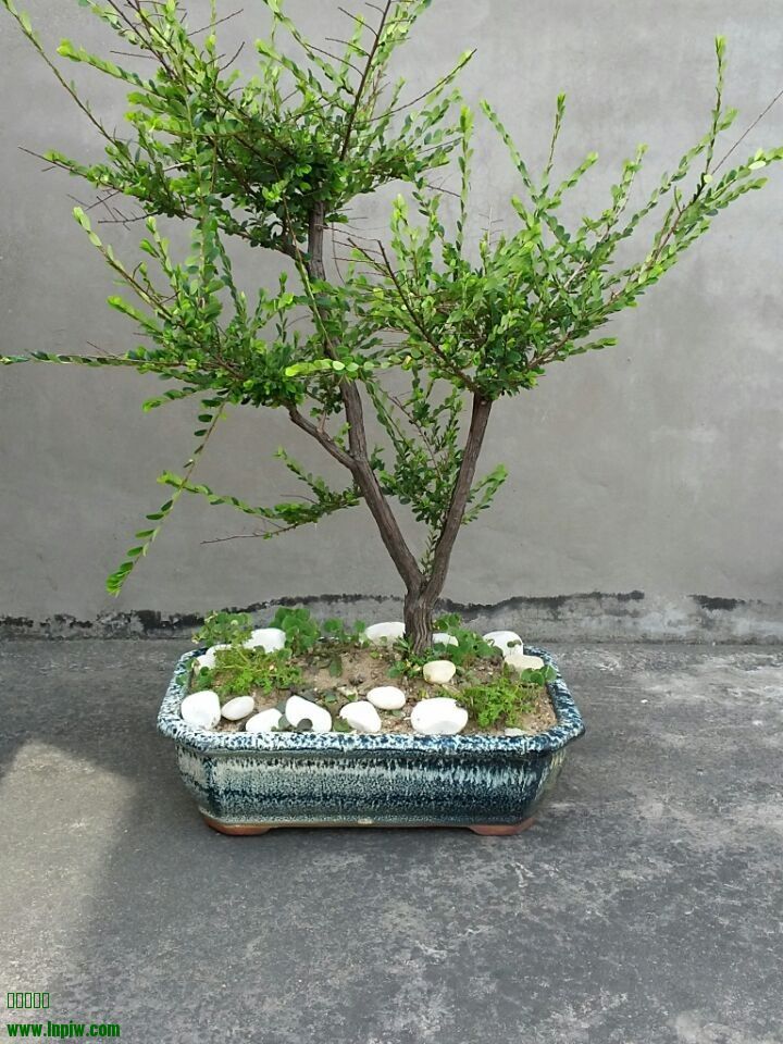QQͼƬ20140530160157.jpg