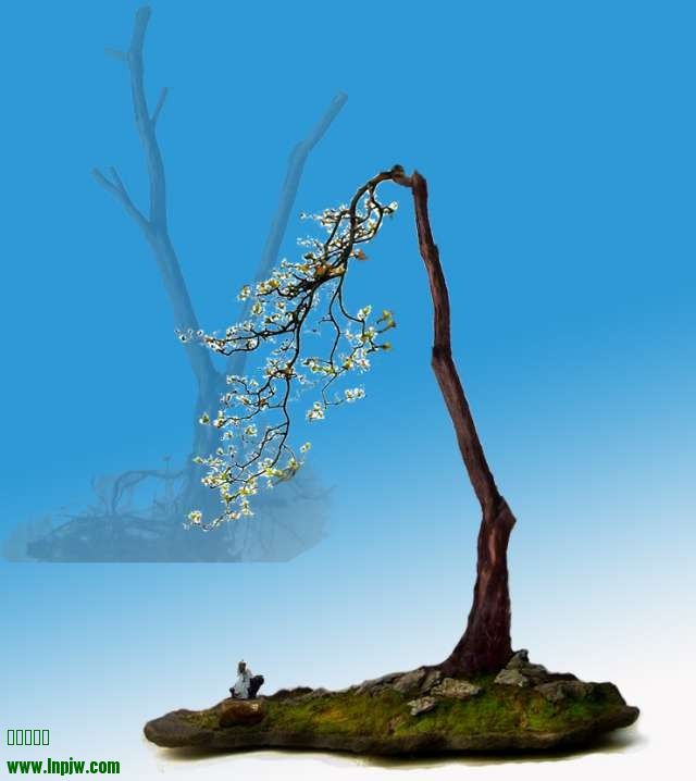 QQͼƬ20140530160147.jpg