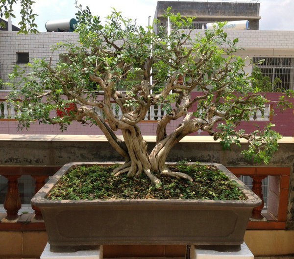 QQͼƬ20140530194238.jpg