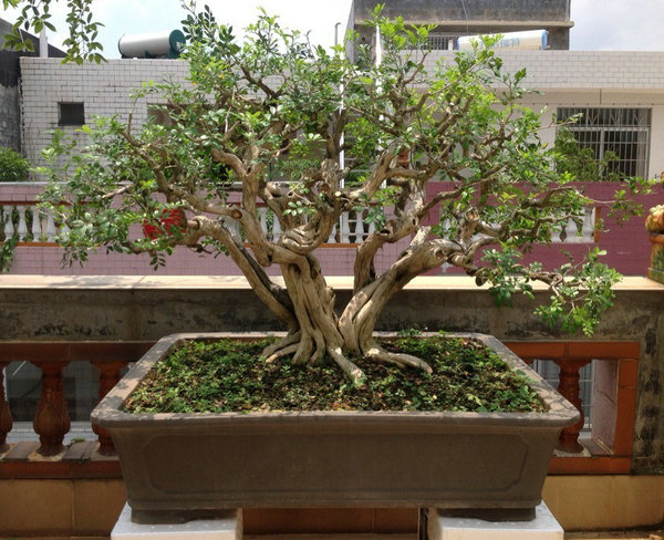 QQͼƬ20140530200526.jpg