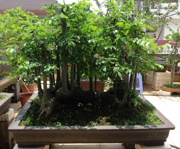 QQͼƬ20140530194103.jpg