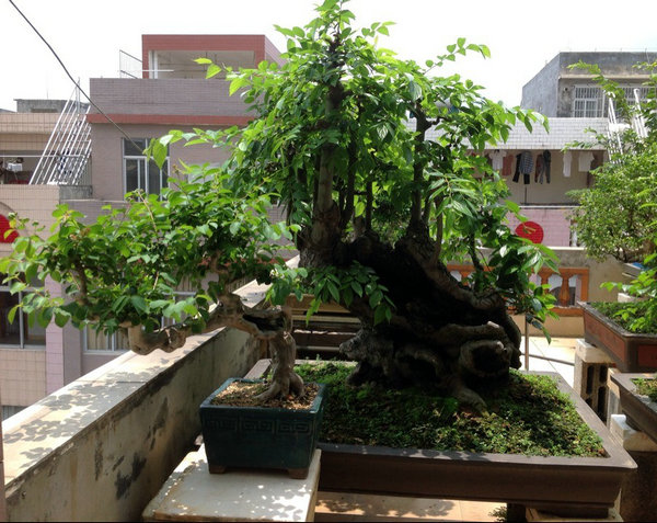 QQͼƬ20140530194118.jpg