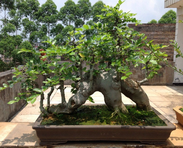 QQͼƬ20140530194046.jpg