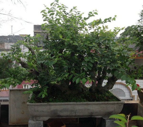 QQͼƬ20140530194137.jpg