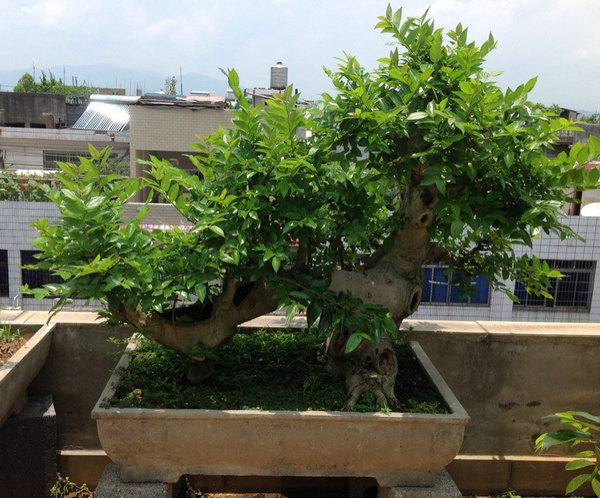 QQͼƬ20140530194131.jpg