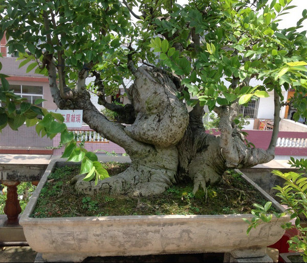 QQͼƬ20140530194158.jpg