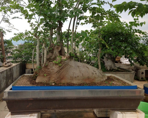 QQͼƬ20140530194153.jpg