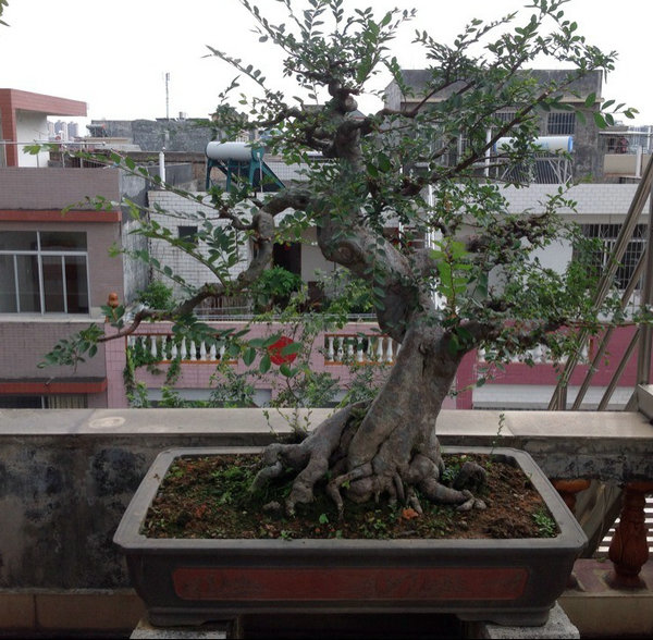 QQͼƬ20140530194223.jpg