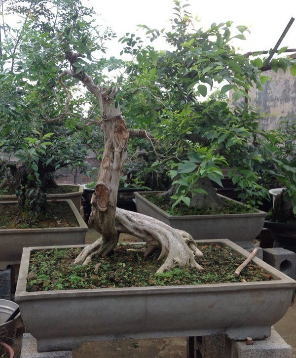 QQͼƬ20140530194212.jpg