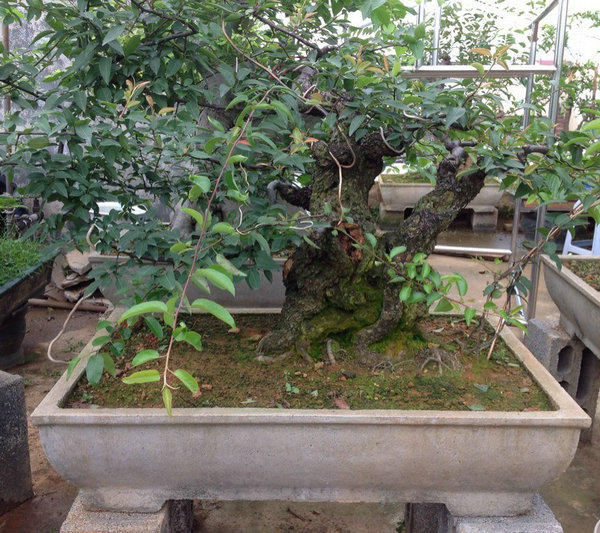 QQͼƬ20140530194228.jpg