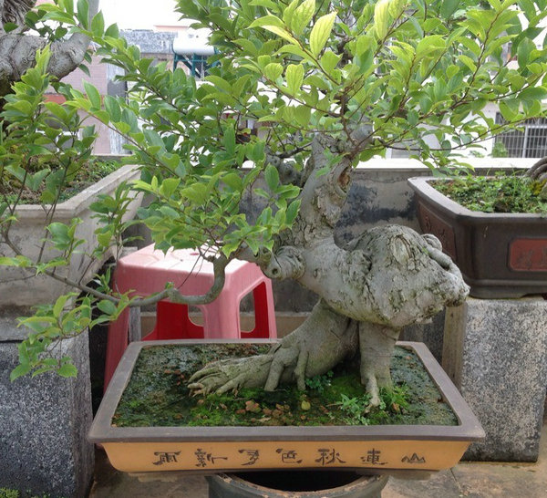 QQͼƬ20140530194256.jpg