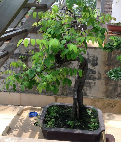 QQͼƬ20140530200531.jpg