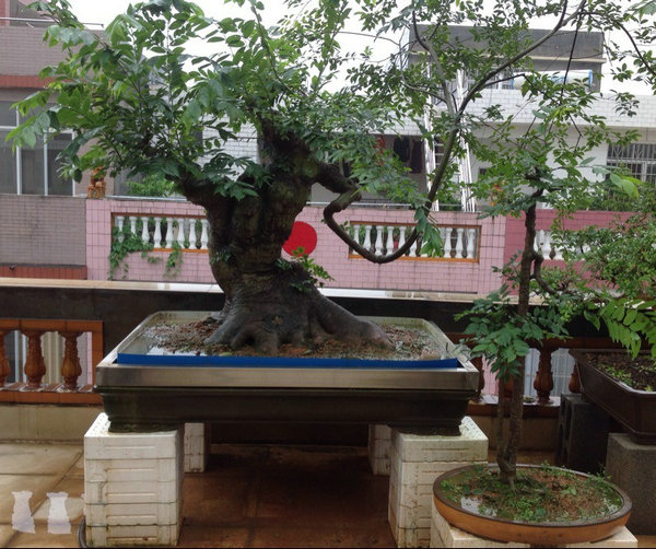 QQͼƬ20140530194310.jpg