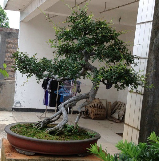 QQͼƬ20140530200543.jpg