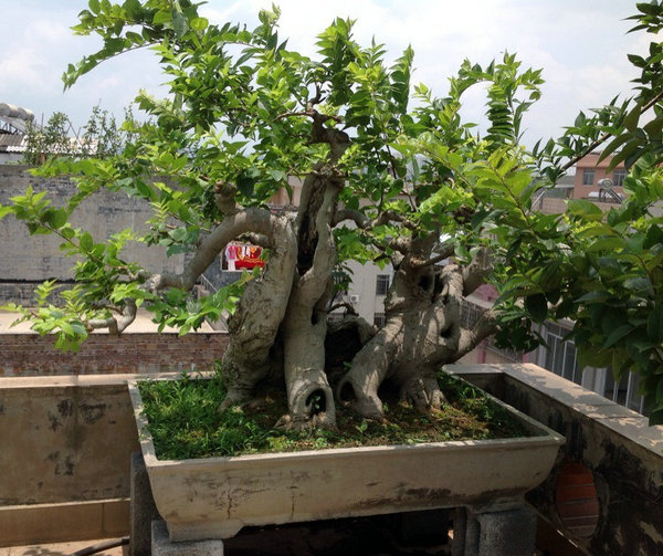 QQͼƬ20140530200537.jpg
