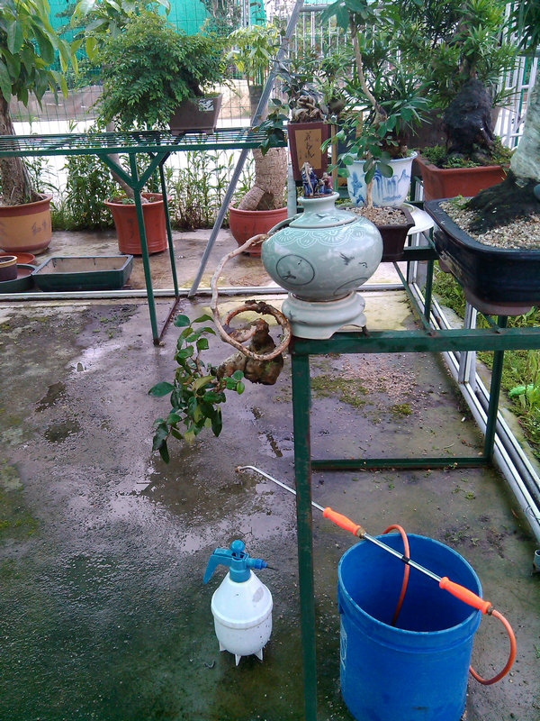 IMG_20140530_180622.jpg