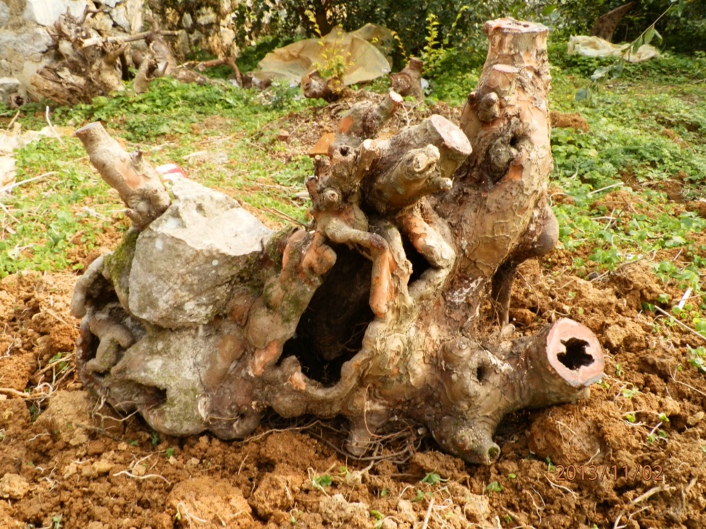 PB020387.JPG