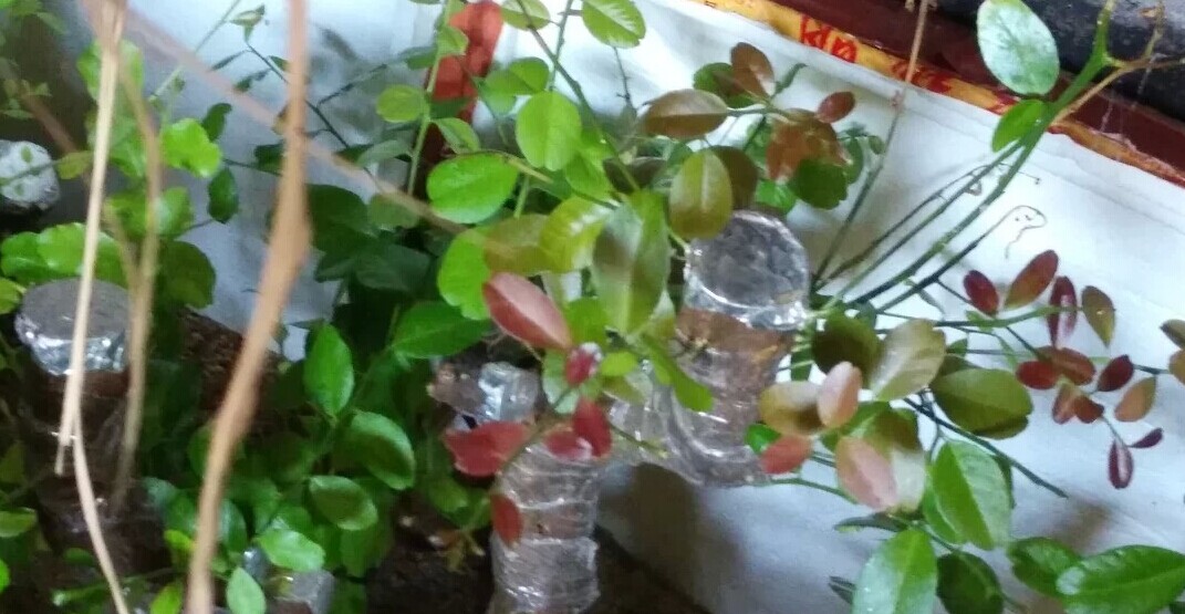 QQͼƬ20140602175605.jpg