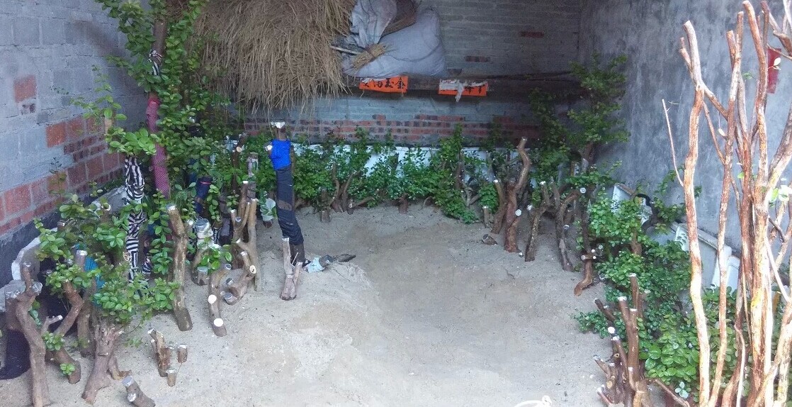 QQͼƬ20140602175712.jpg
