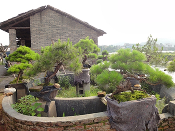 DSC02914.jpg