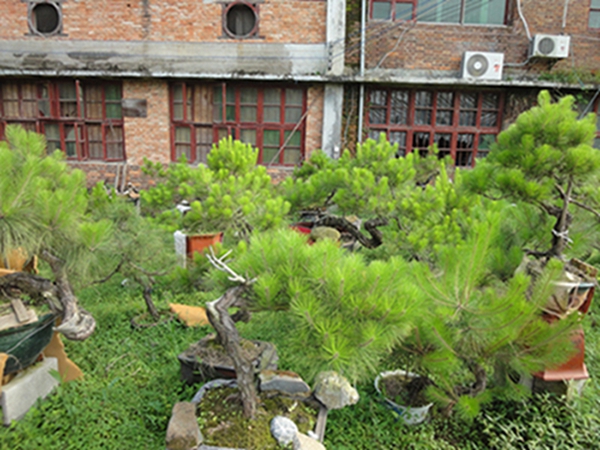 DSC02917.jpg