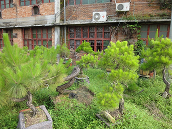 DSC02918.jpg