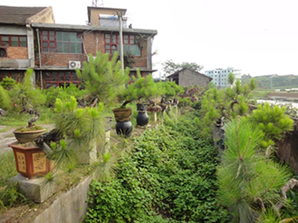 DSC02919.jpg