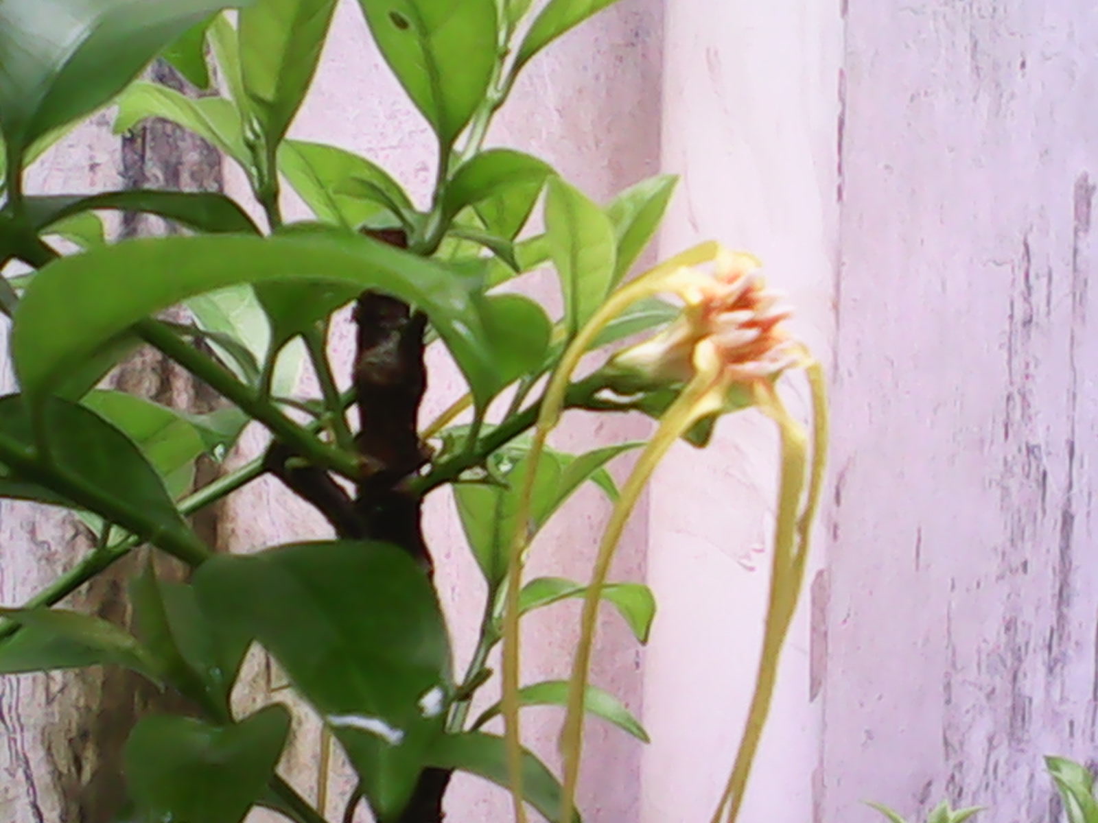 IMG_20140603_105857.jpg