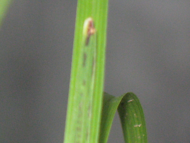 IMG_8509.JPG