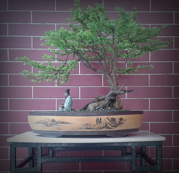 20140604_114021.jpg
