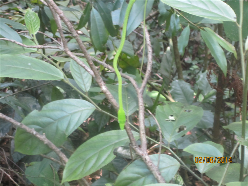 IMG_5537.jpg