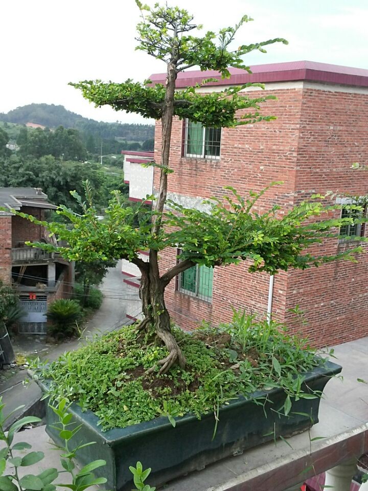 QQͼƬ20140605194711.jpg