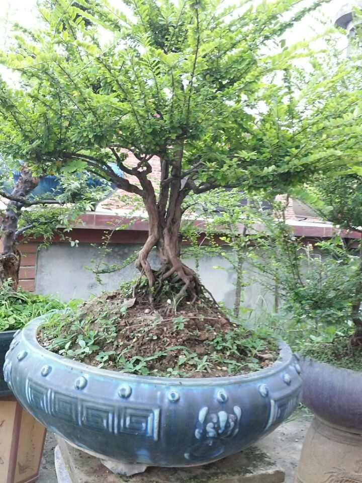 QQͼƬ20140605194725.jpg