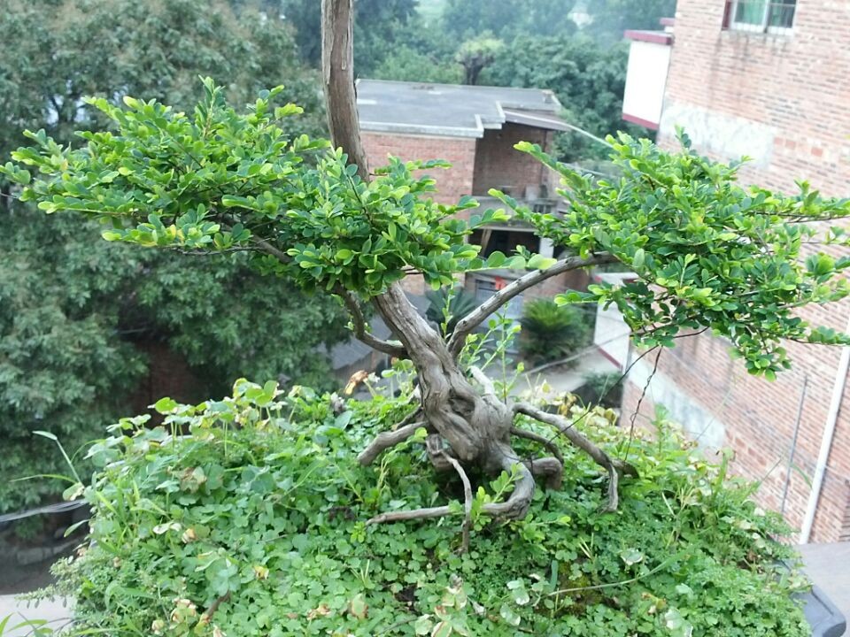 QQͼƬ20140605194844.jpg