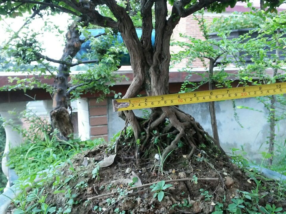 QQͼƬ20140605194851.jpg