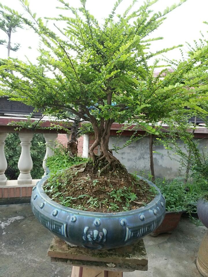 QQͼƬ20140605194900.jpg