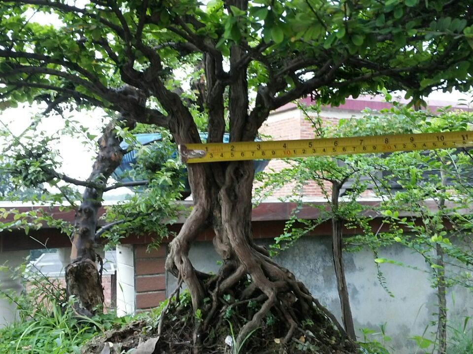 QQͼƬ20140605194914.jpg