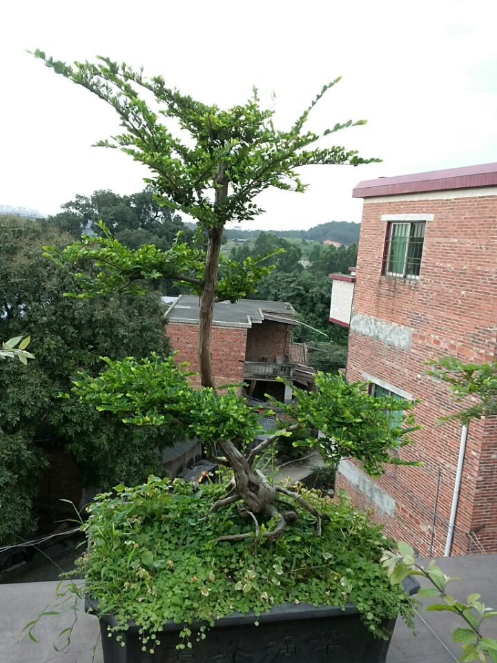 QQͼƬ20140605194920.jpg