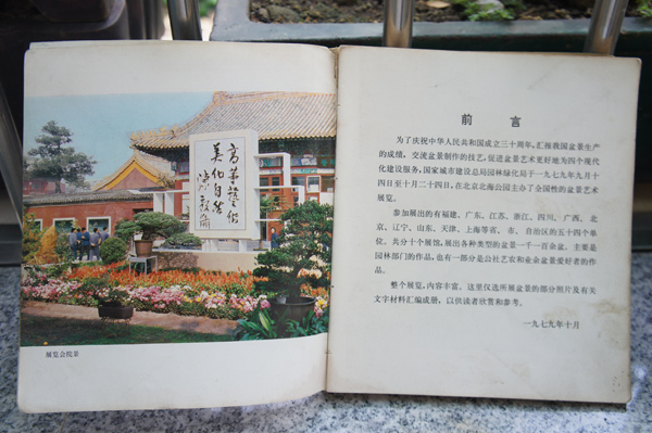 DSC04497.JPG