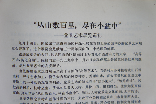 DSC04494.JPG