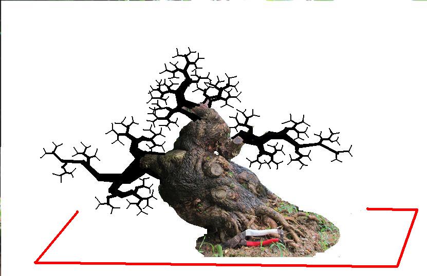 Ƭ 1029.jpg