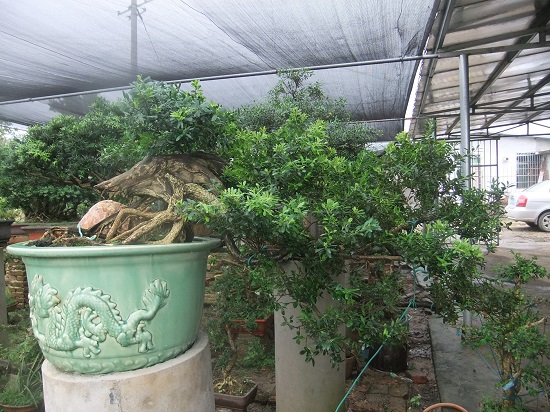 DSCF9542.JPG