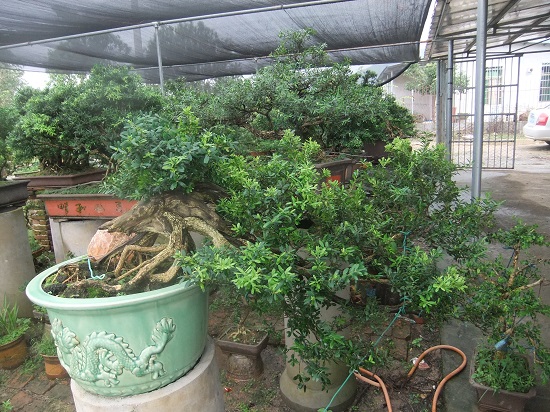 DSCF9543.JPG